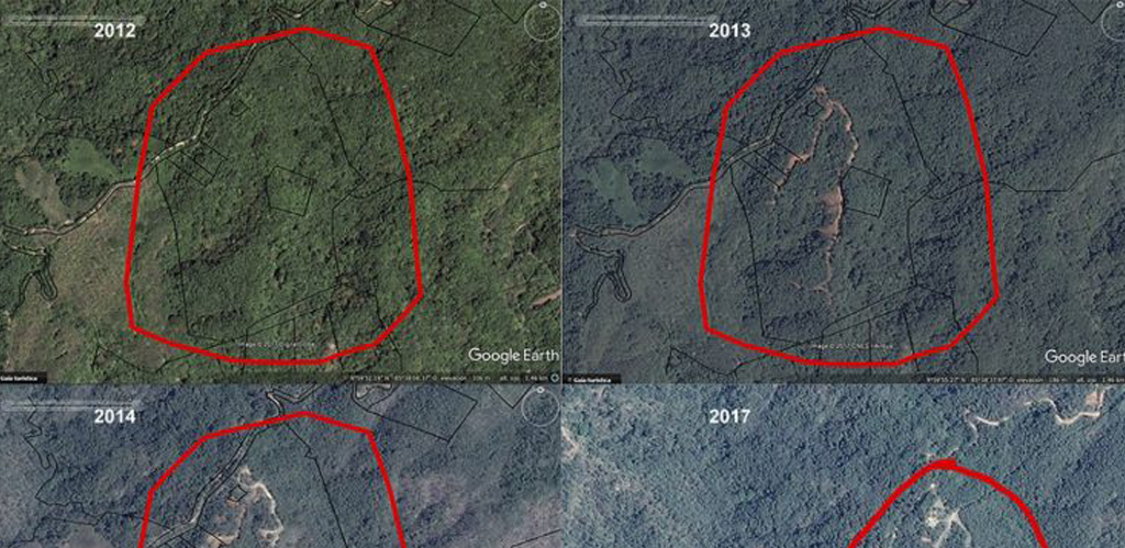 Court Investigates Nosara Hills for Allegedly Failing one Hectare of Forest